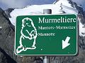 Gross Glockner_045